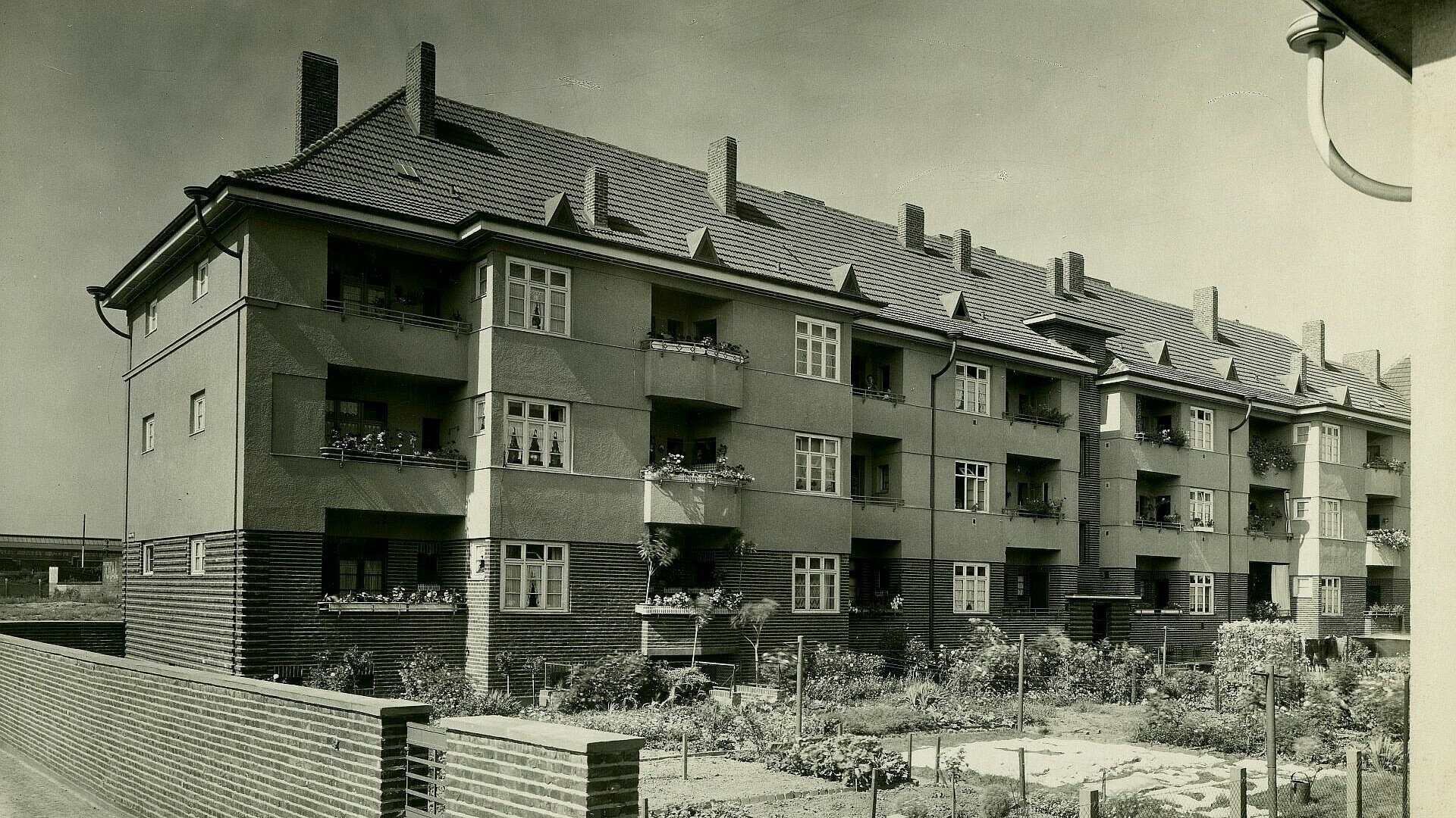 Historisches Foto von Gartenparzellen in der Germaniasiedlung in Höhenberg