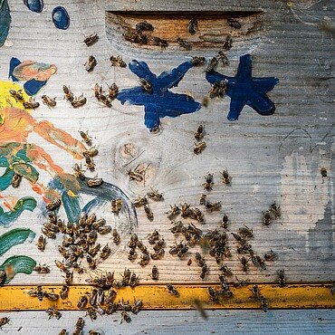 Die Ostheimer Bienen mögen ihren buntbemalten Bienenstock in Waldbadviertel